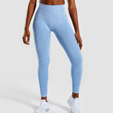 High Waisted Seamless Gym Leggings